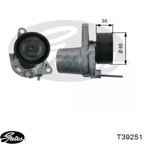 Comprar 117505337R Renault (RVI) Tensor de la correa trapecial