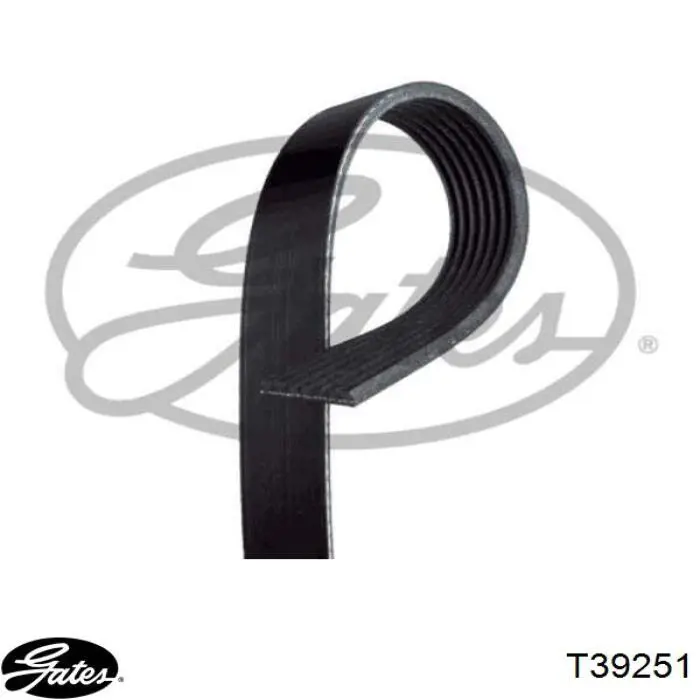 Comprar FT44689 Fast Tensor de correa poli V 