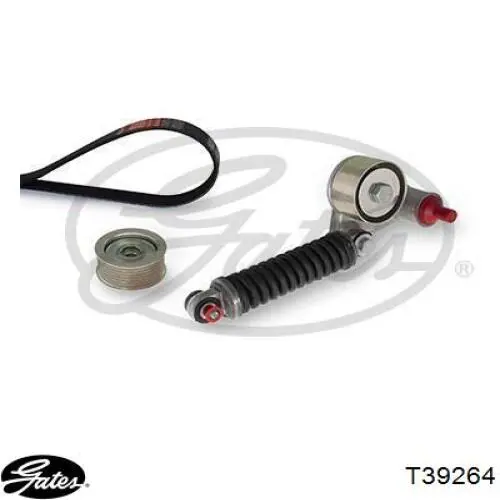 Tensor de correa poli V T2056 Hutchinson
