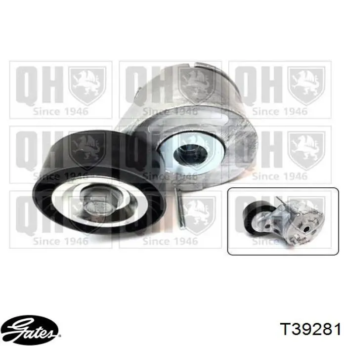 Tensor de correa poli V T39281 Gates