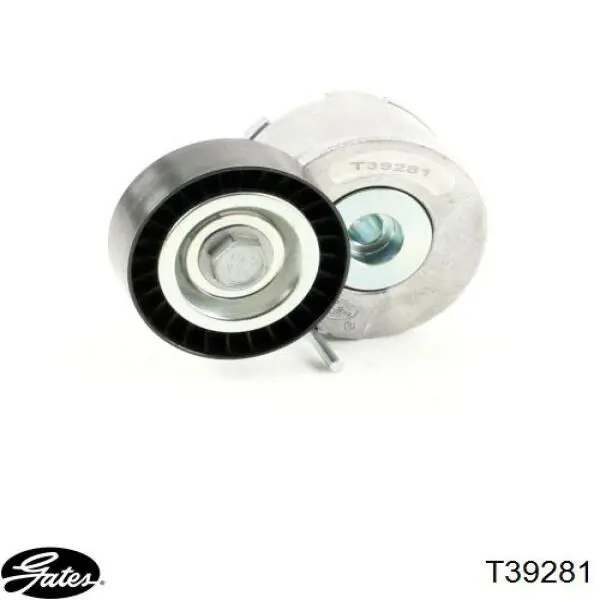 Comprar T39281 Gates Tensor de correa poli V 