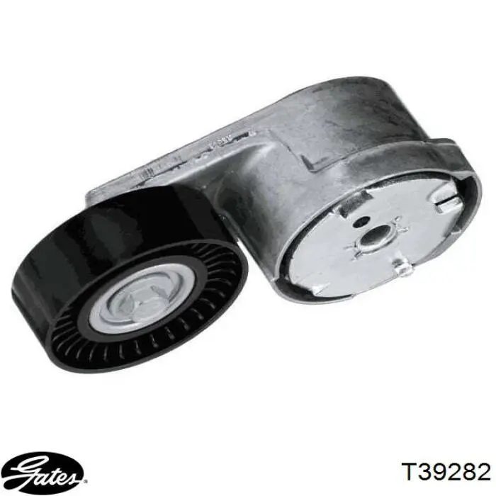 Tensor de la correa trapecial poli v Gates T39282