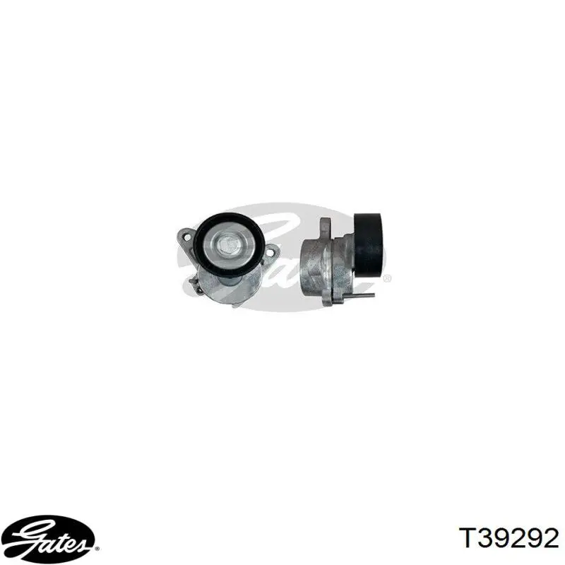 Tensor de correa poli V T39292 Gates