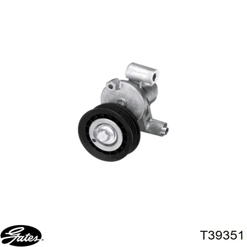Comprar BT121 Ford Tensor de correa poli V 