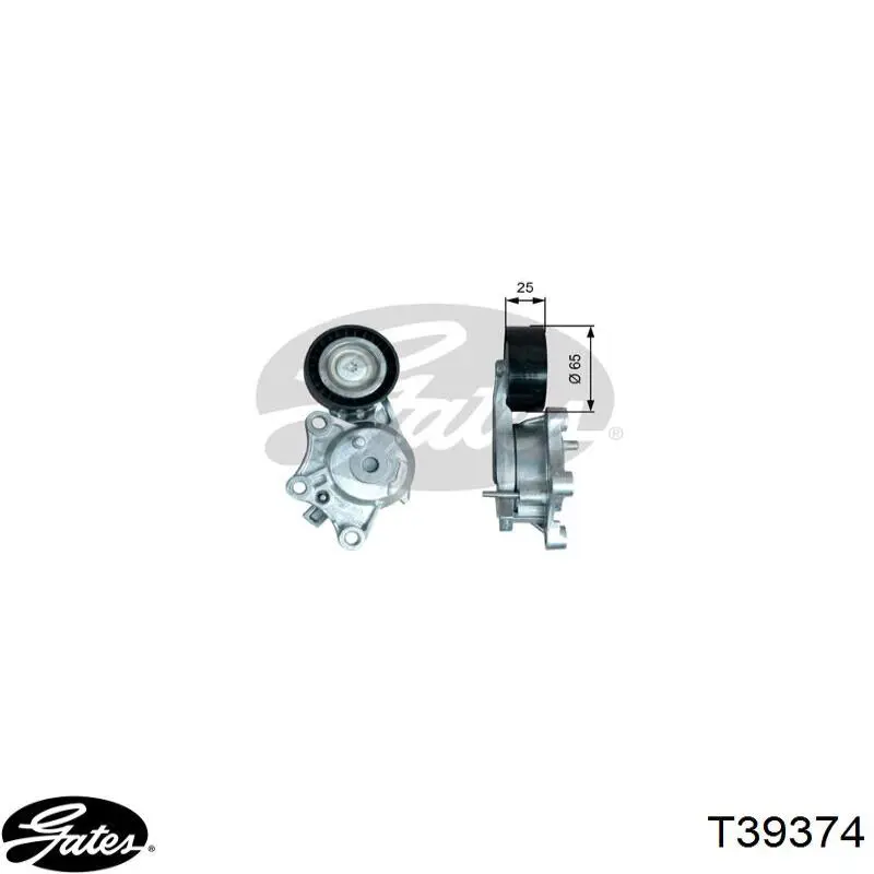 Tensor de correa poli V T39374 Gates