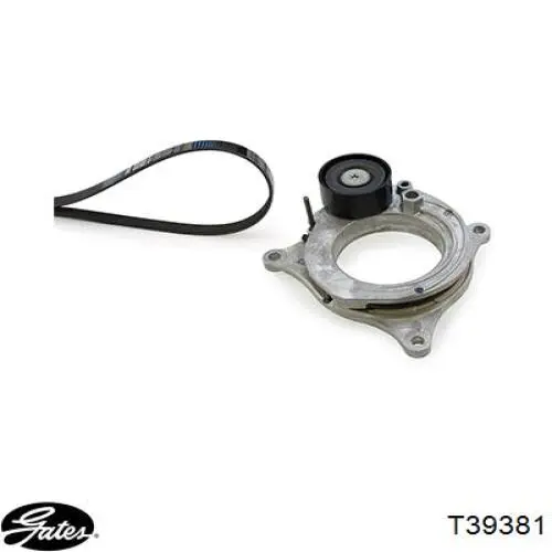 Tensor de la correa trapecial BMW 8580360 precio, desde 57,04 EUR