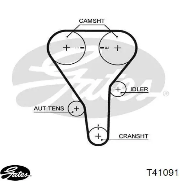 T41091 Gates rodillo, cadena de distribución