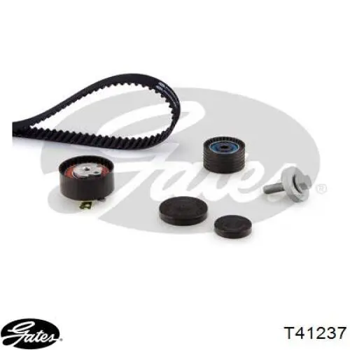 Polea correa distribución QUINTON HAZELL QTT880 precio, desde 20,25 EUR