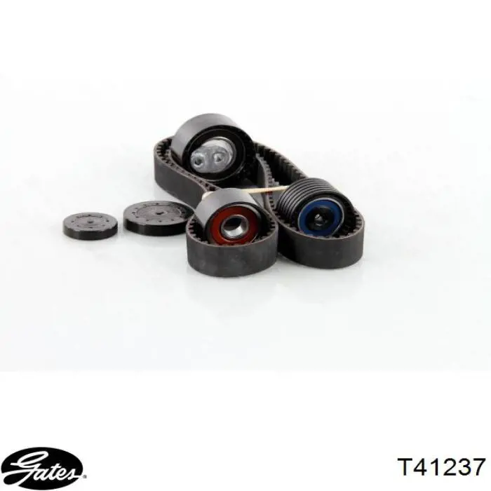 Comprar QTT880 QUINTON HAZELL Polea correa distribución
