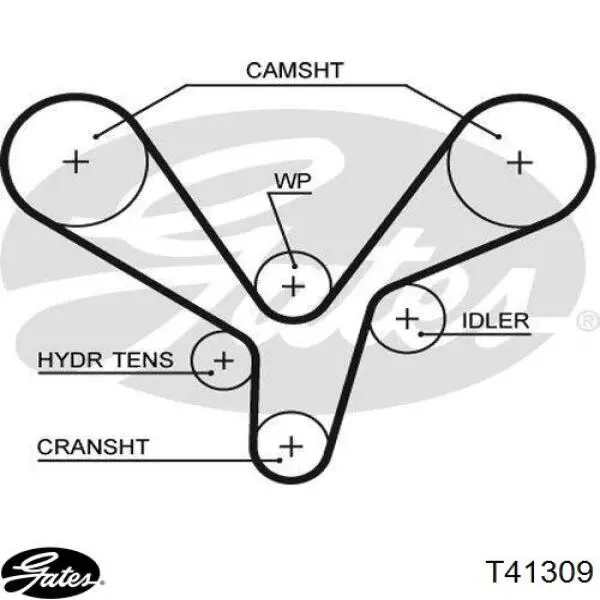 Tensor de la correa de distribución Gates T41309 precio, desde 34,04 EUR