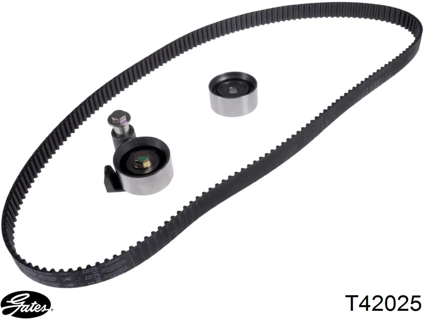 Polea correa distribución Gates T42025 precio, desde 13,72 EUR