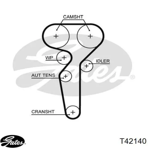 Comprar T42140 Gates Polea correa distribución