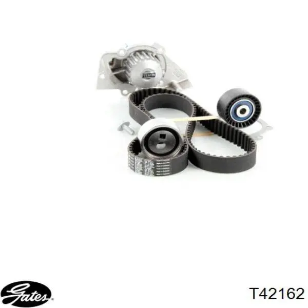 Rodillo intermedio de correa dentada Ford Fiesta JH, JD