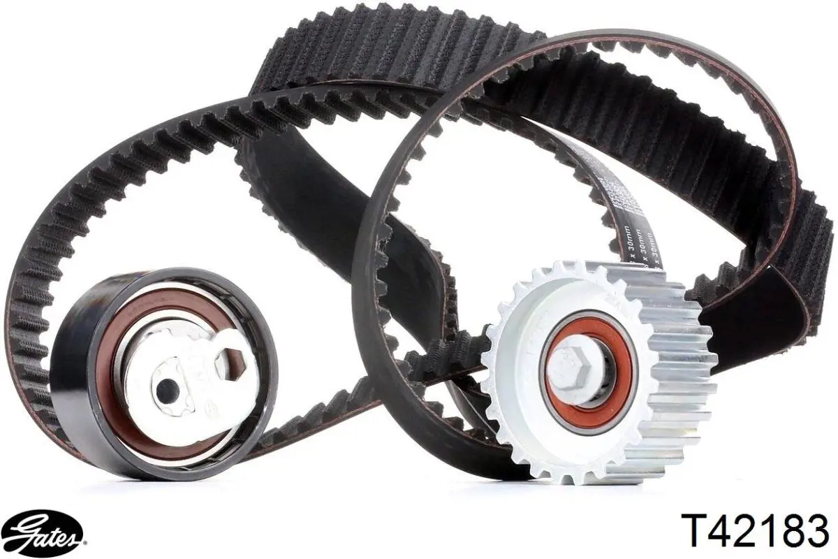 Comprar T42183 Gates Polea correa distribución