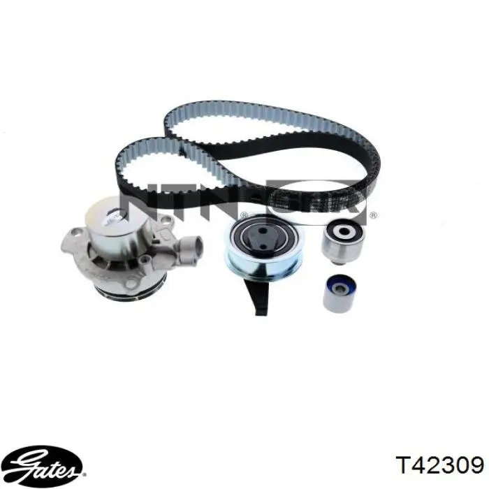 Comprar ATB2571 Dayco Polea correa distribución