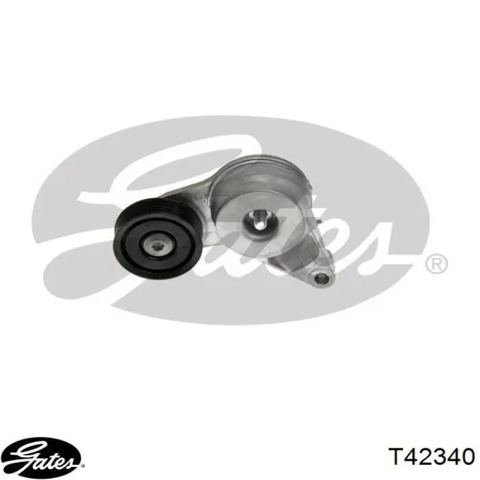 Rodillo intermedio de correa dentada KIA Optima 4 JF