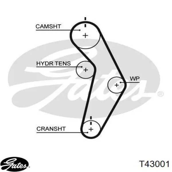 T43001 Gates Tensor, correa dentada