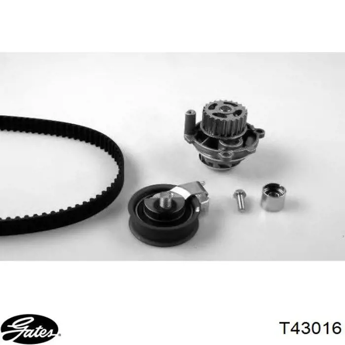 Comprar 531050020 VAG Tensor correa distribución