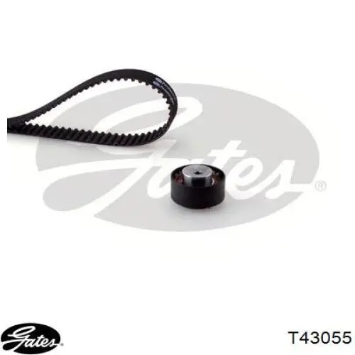 Tensor correa distribución 13911 3RG