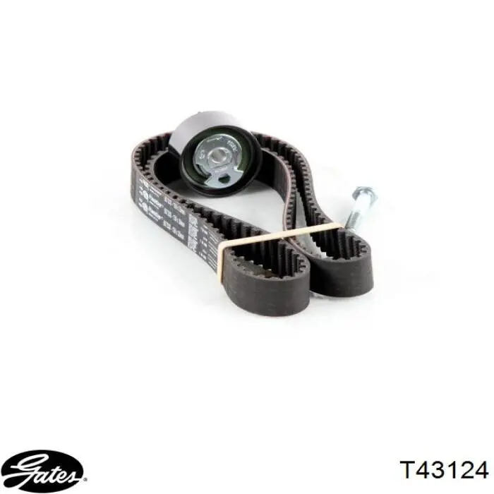 Comprar T43124 Gates Tensor correa distribución