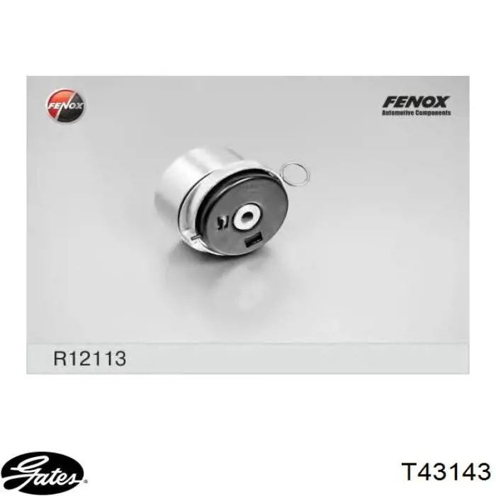 Rodillo tensor cadena Kavo Parts DTE1009