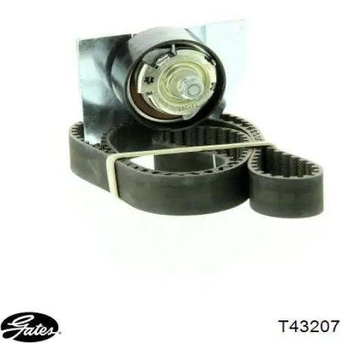 Tensor de la correa de distribución Gates T43207 precio, desde 47,93 EUR