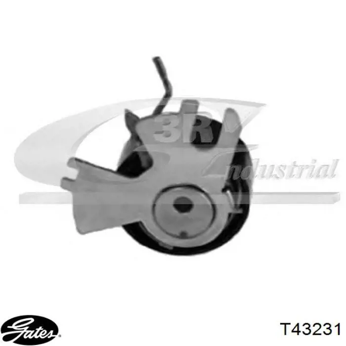 Rodillo tensor cadena Peugeot/Citroen 00000829G6
