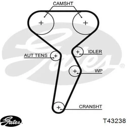 Tensor correa distribución T43238 Gates