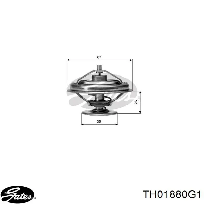 069121113S3 VAG termostato, refrigerante