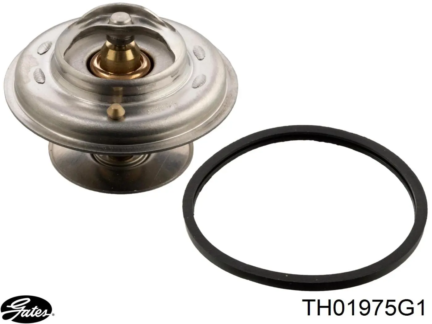 TH01975G1 Gates termostato