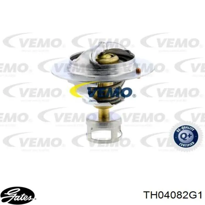VT106 Japan Parts Termostato de agua
