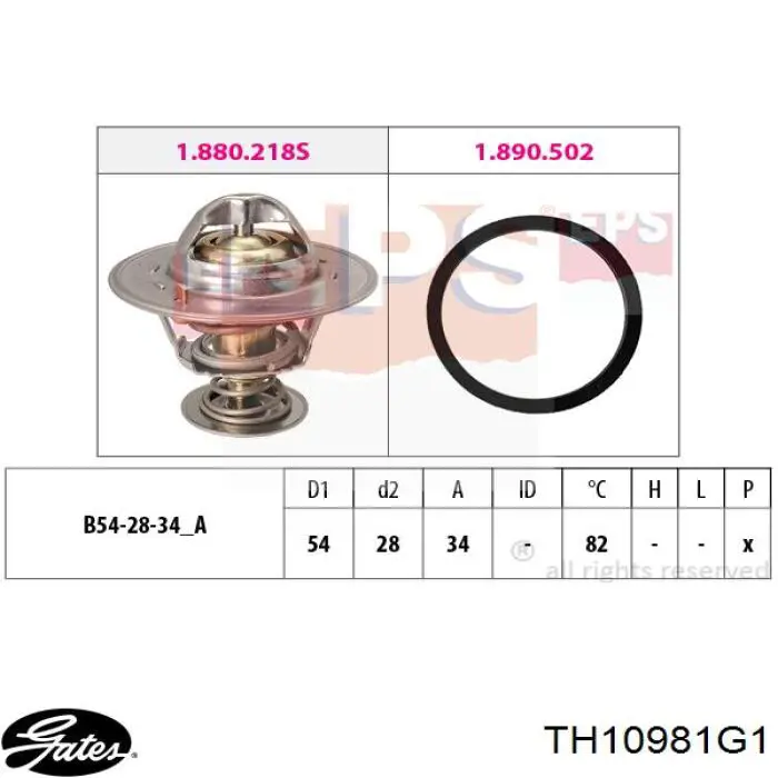 Comprar TH10981G1 Gates Termostato