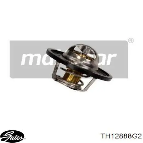 Comprar TH12888G2 Gates Termostato