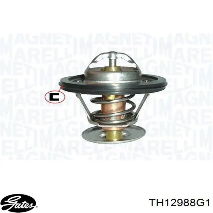 Termostato Gates TH12988G1 precio, desde 11,69 EUR