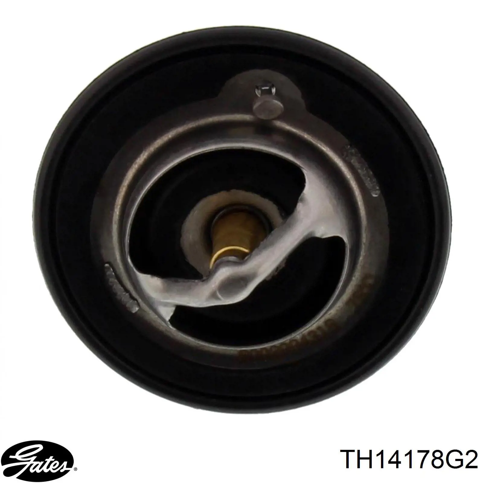 Termostato refrigerante Honda 19301P8FA11
