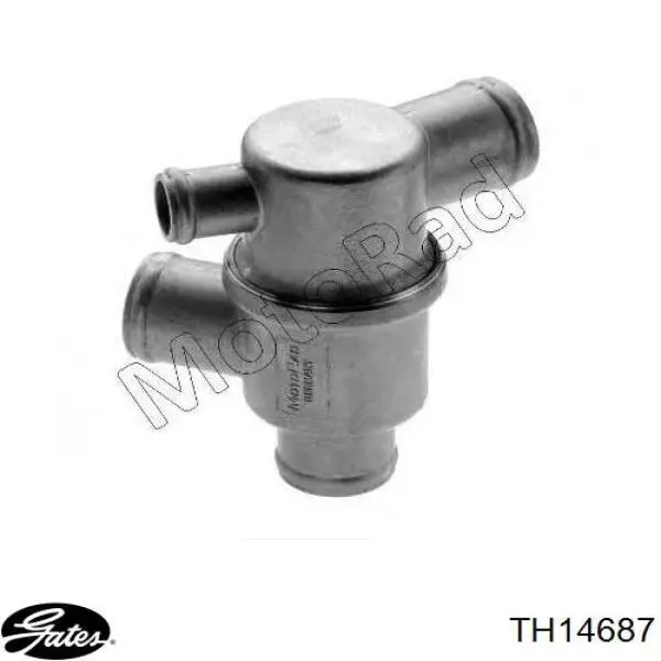 Comprar 21081306010 Rider Caja de termostato