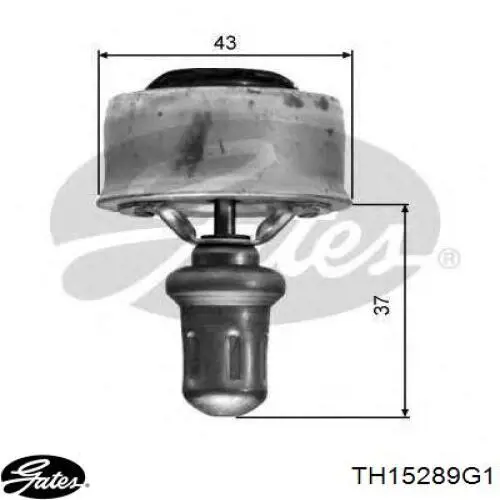 Comprar 7700868980 Renault (RVI) Termostato