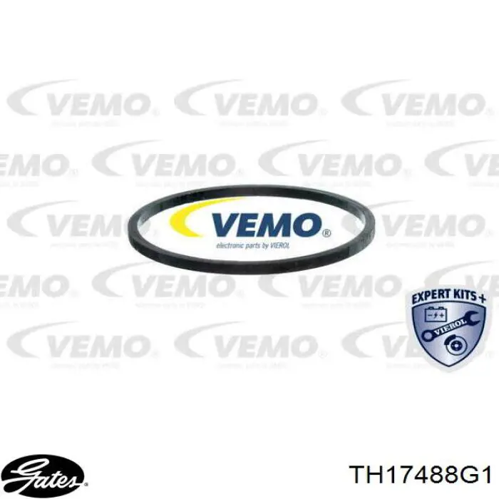 Termostato Gates TH17488G1 precio, desde 49,53 EUR
