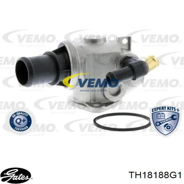 Termostato Fiat/Alfa/Lancia 60672655 precio, desde 39,73 EUR