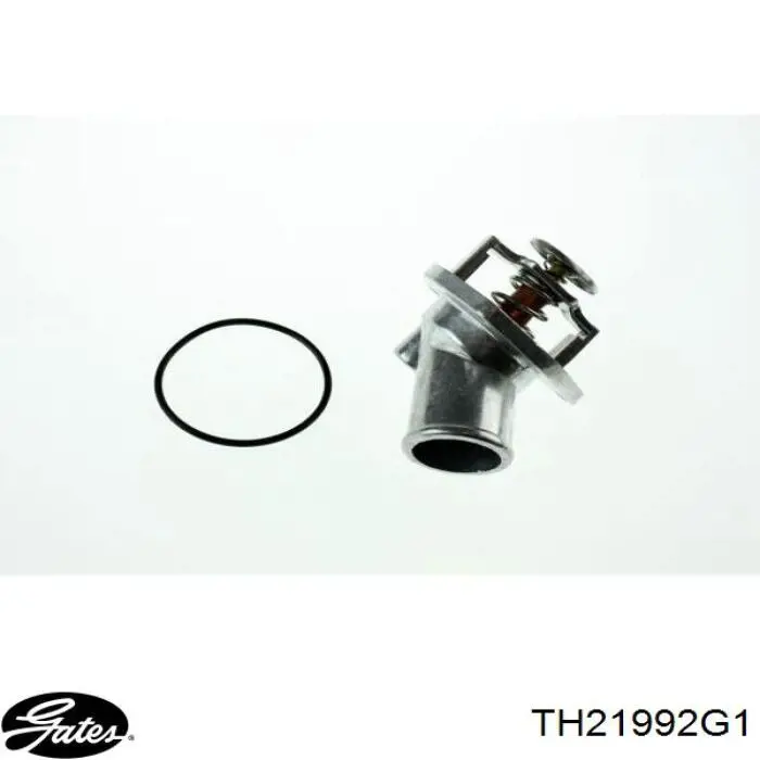 Comprar TH21992G1 Gates Termostato