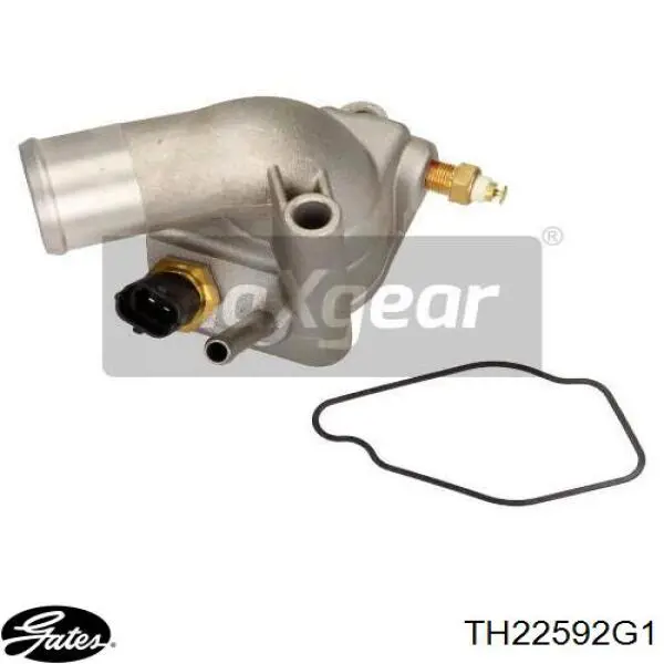 Caja de termostato CT5559 BGA