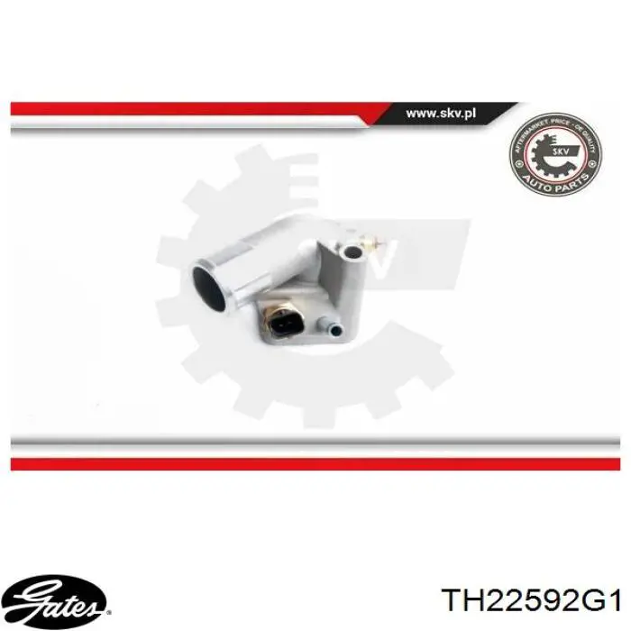Caja termostato BGA CT5559