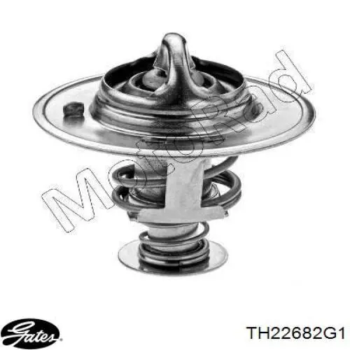 TH3501 Kavo Parts Termostato de agua
