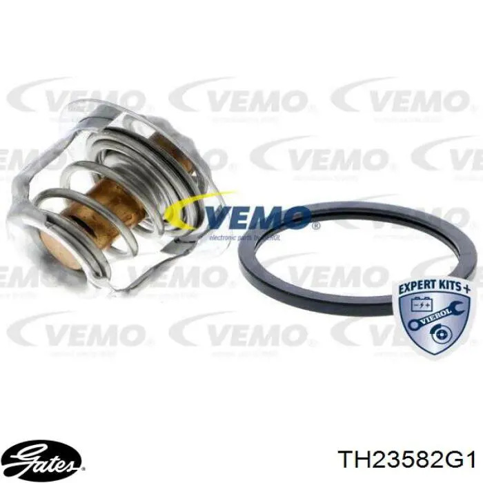 TH23582G1 Gates Termostato de agua