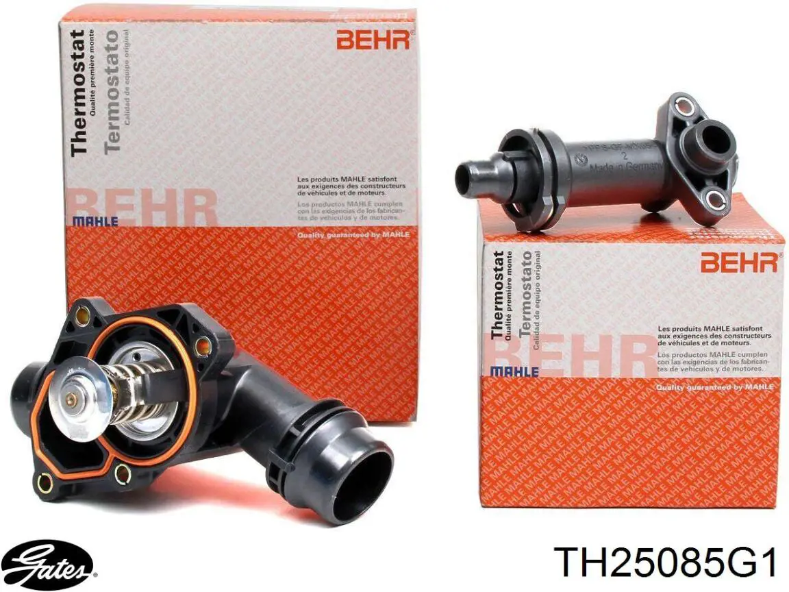 Termostato refrigerante BMW 2247019