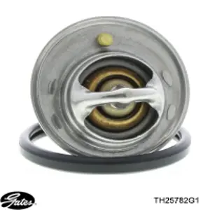 Termostato TH25782G1 Gates