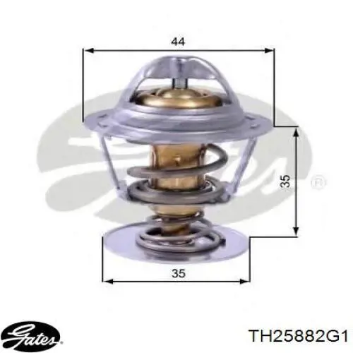Termostato Gates TH25882G1 precio, desde 34,92 EUR