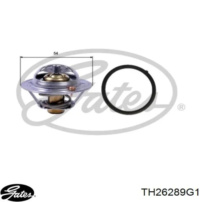 7700109641 Renault (RVI) Caja del termostato