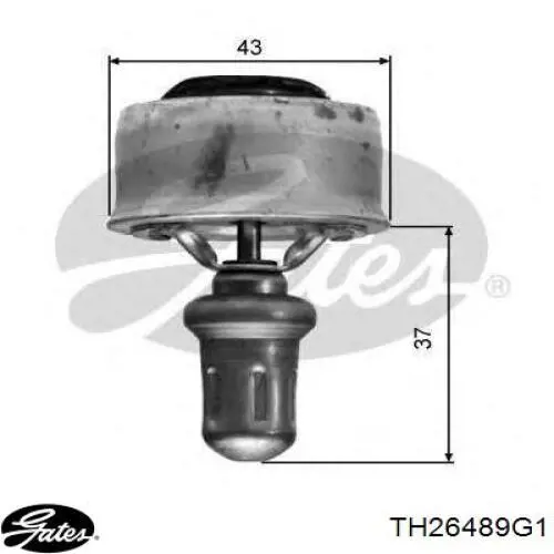Termostato CT5561 BGA