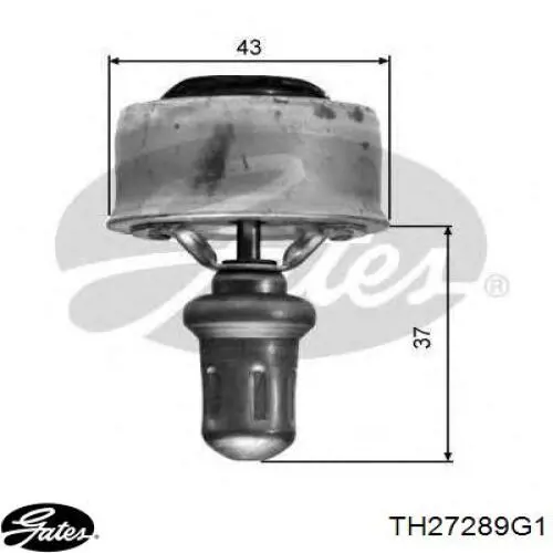 Caja del termostato Renault Espace 4 JK0